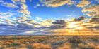 Bucklow Station - NSW T (PB5D 00 2622)